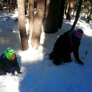 Profile Picture of Amaka Watson (@amakawatson) on Tiktok