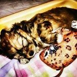 Profile Picture of anna_lisa_guzzo (@anna_lisa_guzzo) on Instagram