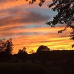 Profile Picture of Gail Marie Matalonis Kotchin (@mataloniskotchin) on Instagram