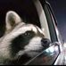 Profile Picture of Alison Guerrero (@alison.guerrero.37669) on Facebook