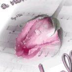 Profile Picture of Janet J Rooks (@jjr517) on Twitter