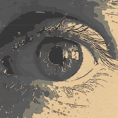 Profile Picture of Jake Lees  🌱 🌳 🇪🇺 (@JL_Permaculture) on Twitter