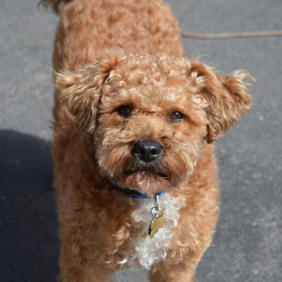 Profile Picture of Matt Wagner (@mattwagners1212) on Poshmark