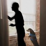 Profile Picture of Adam Coley (@mistercoley) on Instagram