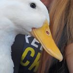 Profile Picture of Rebeca and Dilly Bar Dabbler (@dillybardabbler) on Instagram