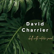 Profile Picture of David Charrier  (@DavidCharrier-xc4lp) on Youtube