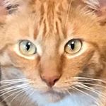 Profile Picture of Kim Dudek (@kim.d.dudek.88) on Instagram