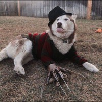 Profile Picture of Benjamin Hoskins (@benjamin-hoskins-6) on Quora
