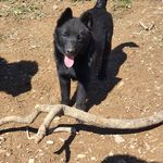 Profile Picture of Jérémy Reiter (@reiter4473) on Instagram