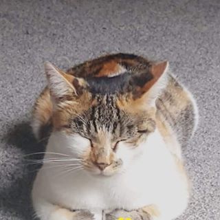 Profile Picture of David Strevens (@david.strevens.54) on Facebook