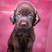 Profile Picture of Chloe Jarvis (@chloejarvis4487) on Youtube