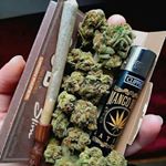 Profile Picture of peter kush (@pet_kush) on Instagram