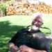 Profile Picture of David Hughes (@puffersn) on Pinterest