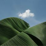 Profile Picture of ahn junghee (@jungheeahn) on Instagram