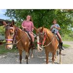 Profile Picture of Emily Bates (@emily._.bates) on Instagram