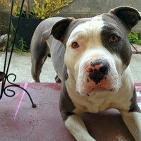 Profile Picture of Jonathan Cervera (@jonathan-cervera-4) on Quora