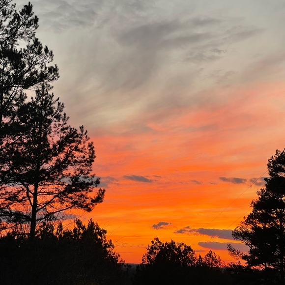 Missy Mccalister - Poshmark Profile Picture of Missy Mccalister (@mrickman77) on Poshmark