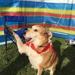 Profile Picture of Nigel Mckenna (@mckenna.nigel) on Instagram