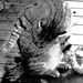 Profile Picture of Bruce Falkenstein (@bfalkenstei0118) on Pinterest