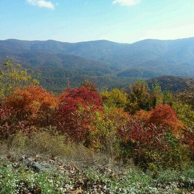 Allison McHann - Twitter Profile Picture of Allison McHann (@AlMcHann) on Twitter