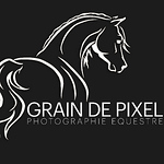 Profile Picture of Franck Simon (@graindepixel.fr) on Flickr