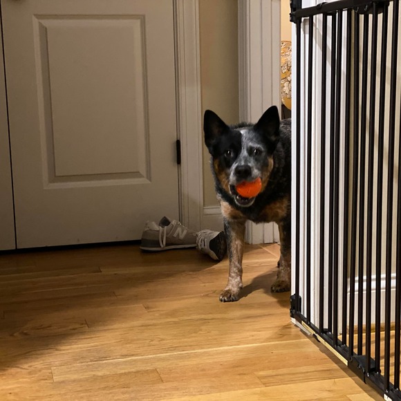 Profile Picture of John Feeley (@jfeeley3) on Poshmark