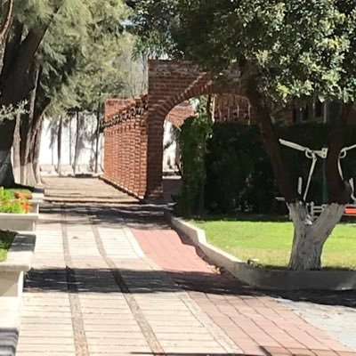 Profile Picture of Juan Carlos Tostado Montes (@TostadoMontes) on Twitter