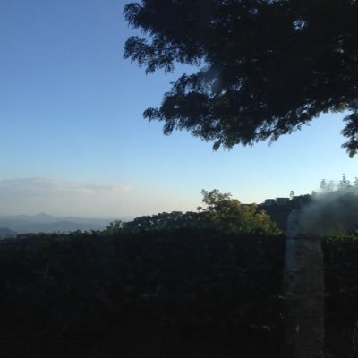 Profile Picture of Ani Patel (@anipatel999) on Twitter