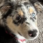 Profile Picture of Chris Gredzinski (@chris.gredzinski.1) on Facebook