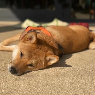 Profile Picture of Herbert Wang (@wolfram_hydrogen) on Instagram