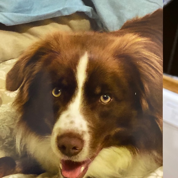 Profile Picture of Dawn Mcmanus (@dawnmcmanus) on Poshmark