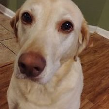 Profile Picture of Eric McClanahan (@ThomasH01739829) on Twitter