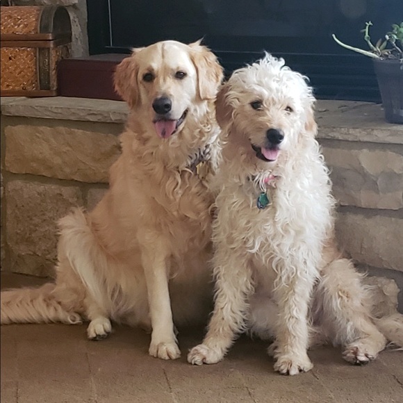 Profile Picture of Ronald Lucus (@rlucus91) on Poshmark