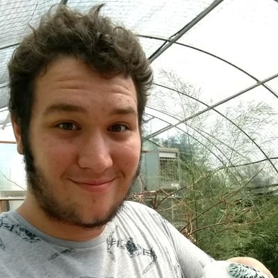 Profile Picture of Richard Scutt (@CobaltNarwhal) on Twitter