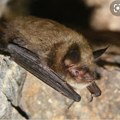 Profile Picture of Sequoia Smith (@sequoiasmith1292) on Youtube