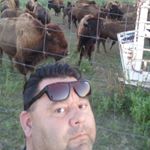 Profile Picture of Timothy LaPointe (@timothy.lapointe) on Instagram