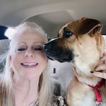 Profile Picture of Mouseknees/Kimberly Brumfield (@mouseknees) on Instagram