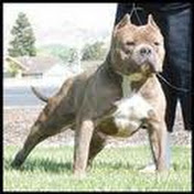 Profile Picture of Miranda Rivas (@Perryhightz) on Youtube