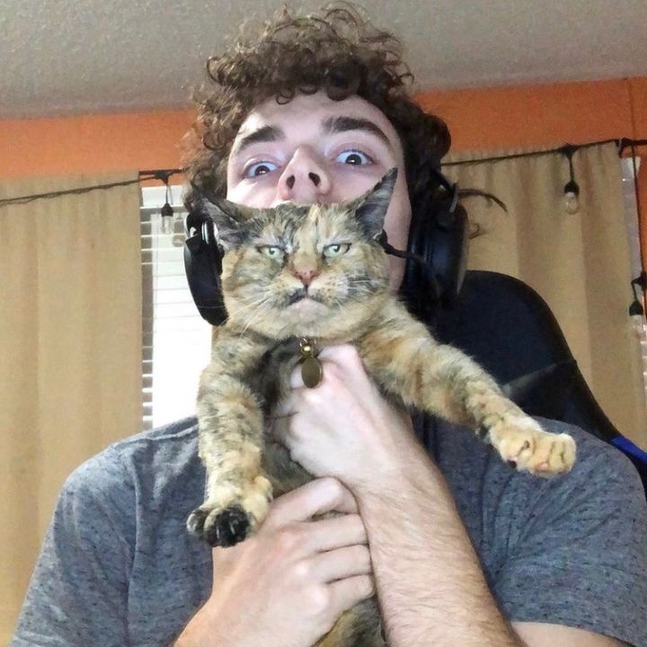 Profile Picture of Andy Johnston (@secretslapper) on Tiktok