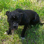 Profile Picture of jimmy byrd (@jimmybyrd11) on Instagram