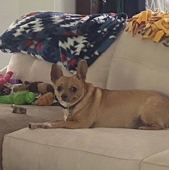 Debbie Monforte - Poshmark Profile Picture of Debbie Monforte (@dsmonforte) on Poshmark