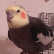 Profile Picture of David Kendrick (@davidkendrick4453) on Youtube