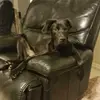 Profile Picture of jonstanderfer7 (@jon.standerfer) on Tiktok