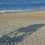 Profile Picture of Sherri Martz (@slmartz53) on Instagram