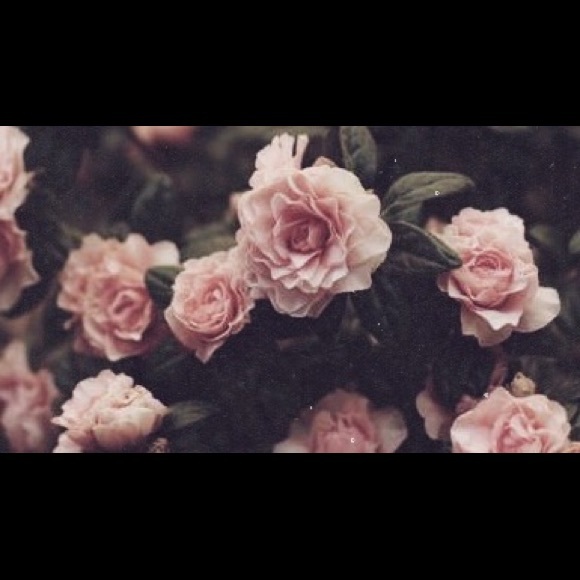 Profile Picture of Martyna Jurusik (@n00g3t5) on Poshmark