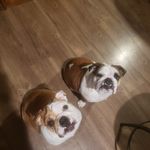 Profile Picture of Craig Colby (@colby.craig) on Instagram