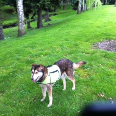 Profile Picture of David Maruska (@9221a037fc1a4fc) on Twitter