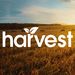 Profile Picture of Harvest Green Mattress (@harvestgreenmattress) on Pinterest