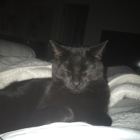 Matt Mccandless - Poshmark Profile Picture of Matt Mccandless (@mccandm2) on Poshmark