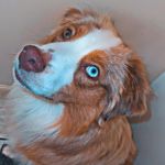 Profile Picture of 𝒦𝑒𝓃𝓏𝒾𝑒 𝒮𝓅𝑒𝓃𝒸𝑒𝓇. (@kenzi.e1) on Instagram